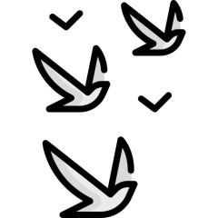 Bird Zone